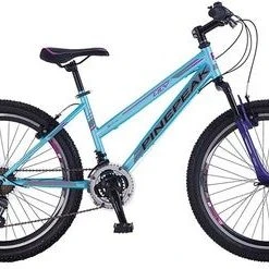 Pinepeak Lion Terrengsykkel 24 Tommer, Blue/Purple