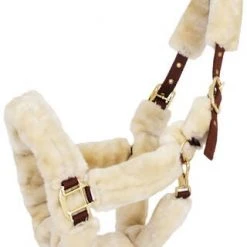 Jacson Manila Grime Ponny, Brun